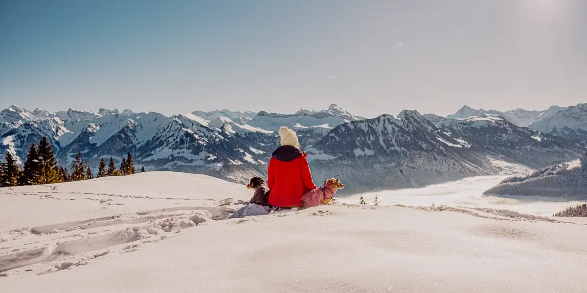 Hochzeitsfotografin von eineprisesalz mit ihren beiden Hunden auf dem berg im Schnee