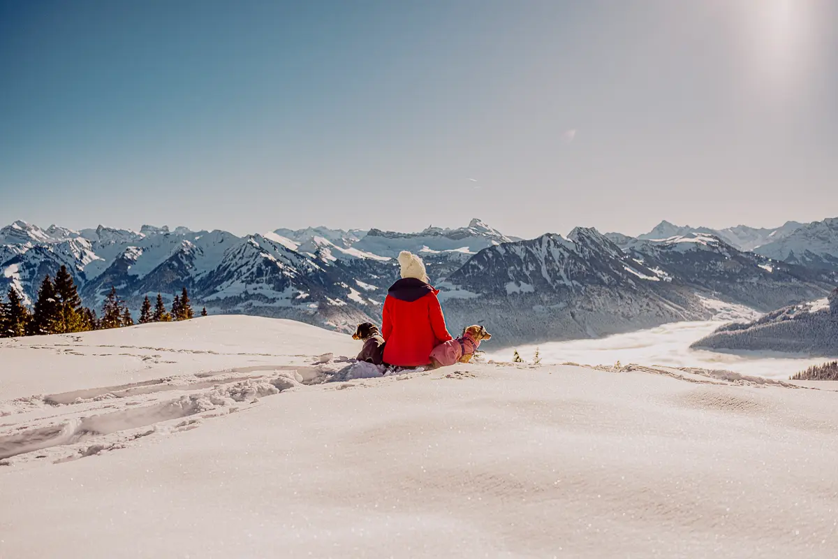 Hochzeitsfotografin von eineprisesalz mit ihren beiden Hunden auf dem berg im Schnee